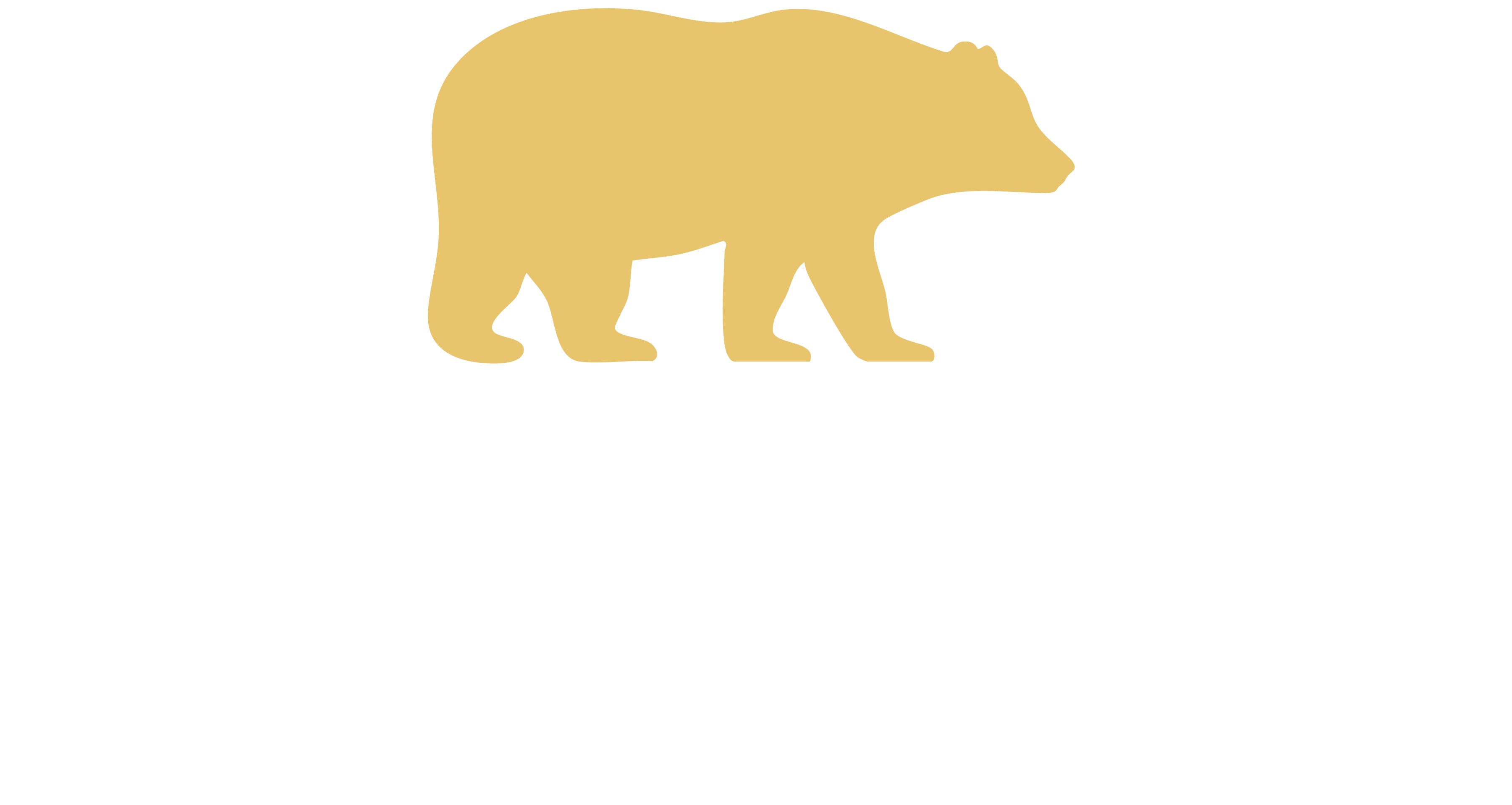 logo-light